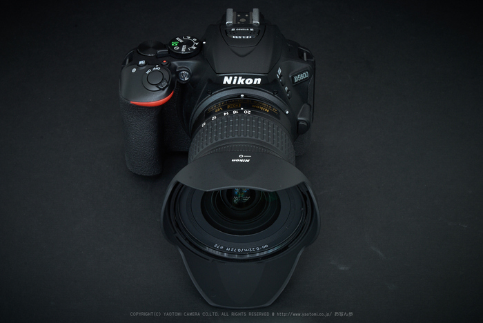 Nikon AF-P NIKKOR 18-55mm